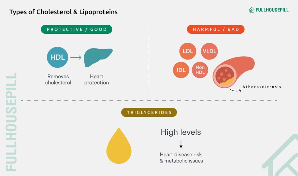 cholesterol and ed : can high cholesterol cause ed? 3 types of cholesterol